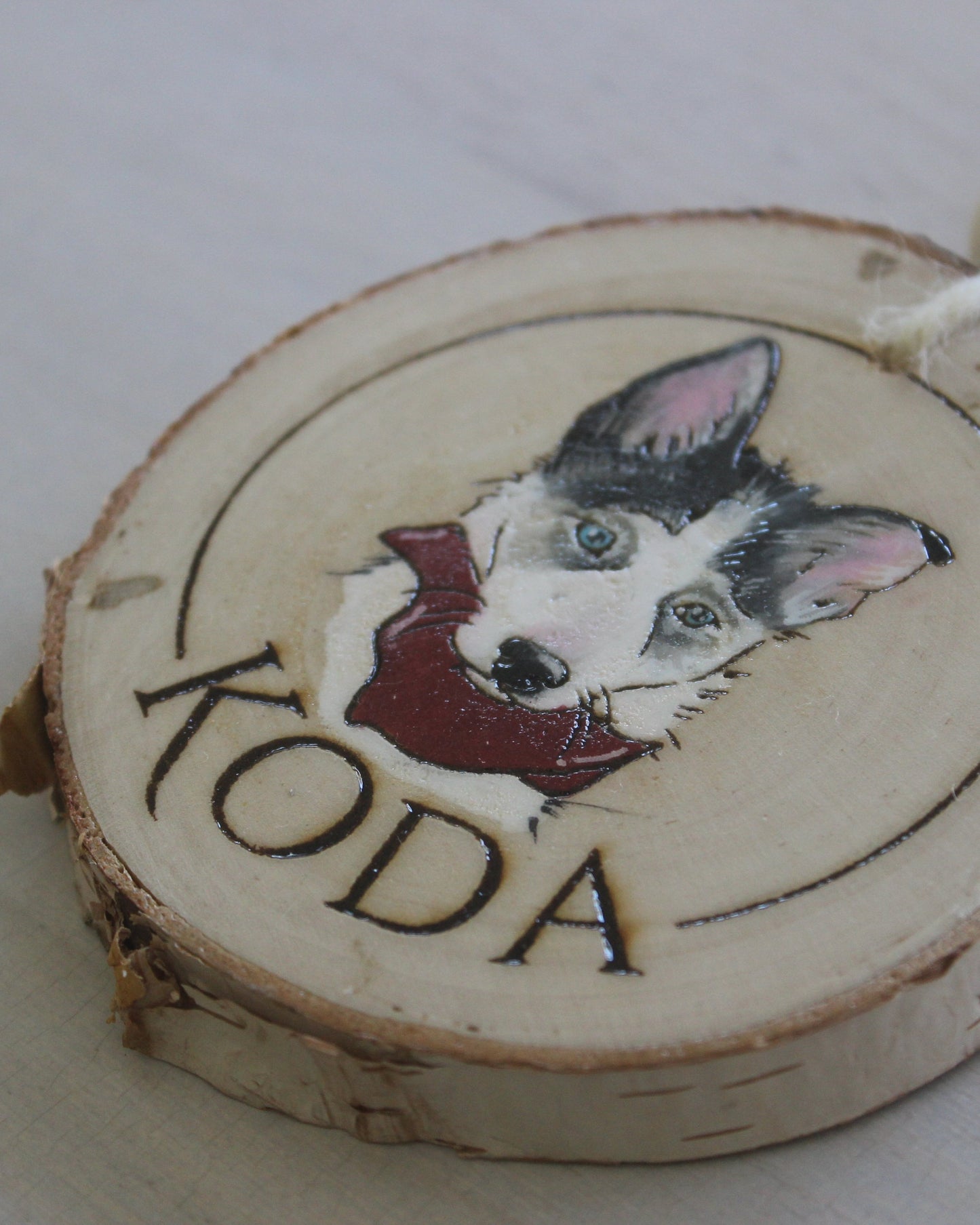 Pet Ornament